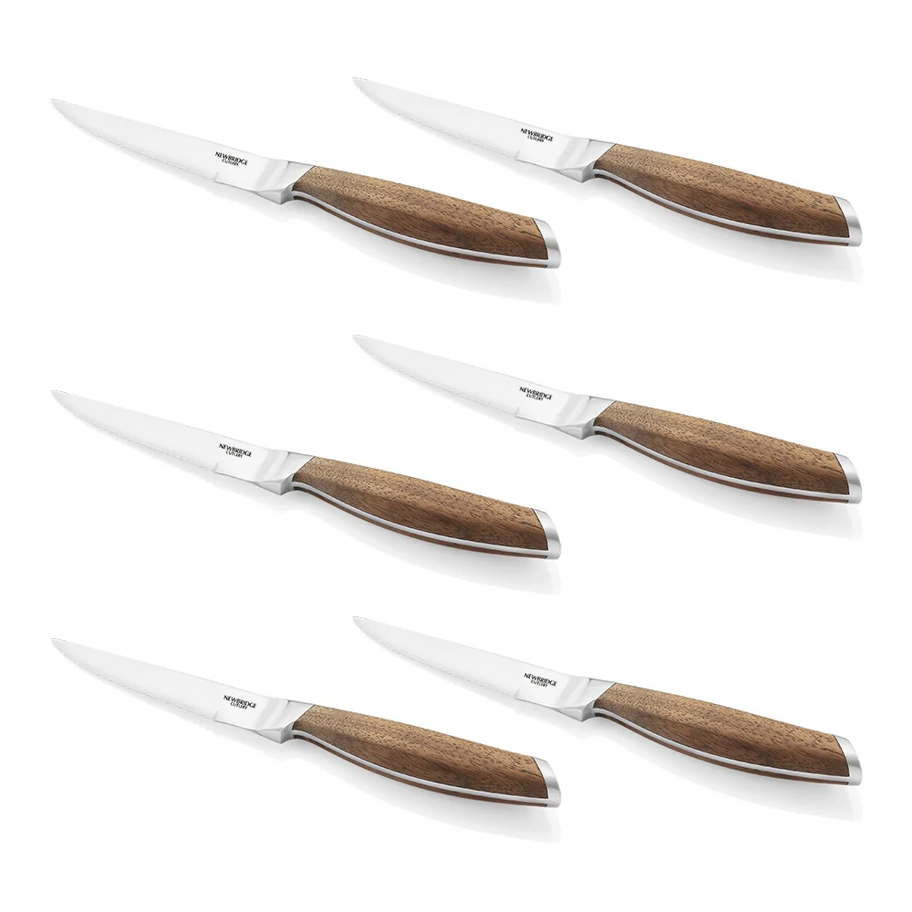 6 Piece Steak Knife Set